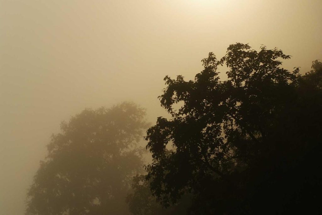 Presiden Prabowo Pastikan Indonesia Siap Hadapi Krisis Energi, di Tengah Ketidakpastian Dunia