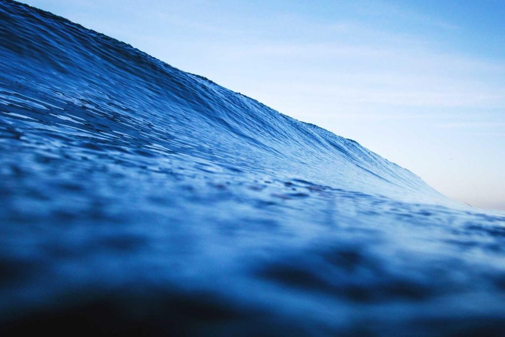 Transformasi Transportasi Umum Demi Kemandirian Energi Indonesia – Suara Merdeka Jakarta